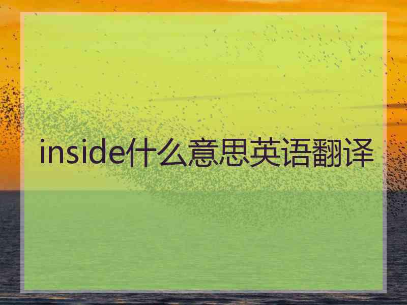 inside什么意思英语翻译