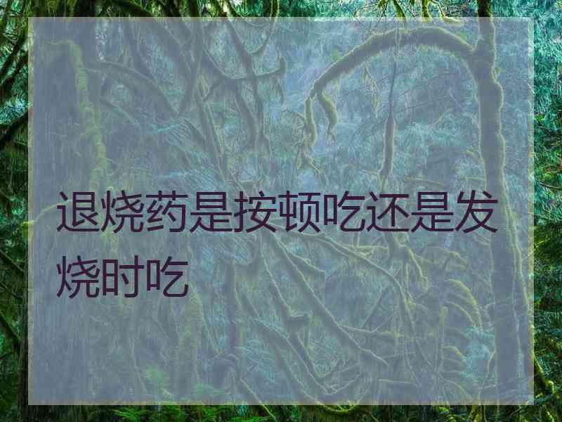 退烧药是按顿吃还是发烧时吃