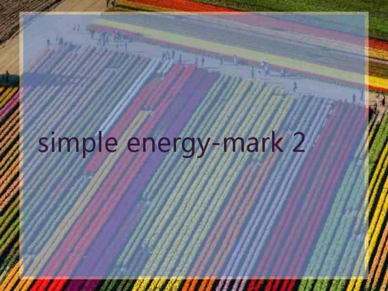 simple energy-mark 2