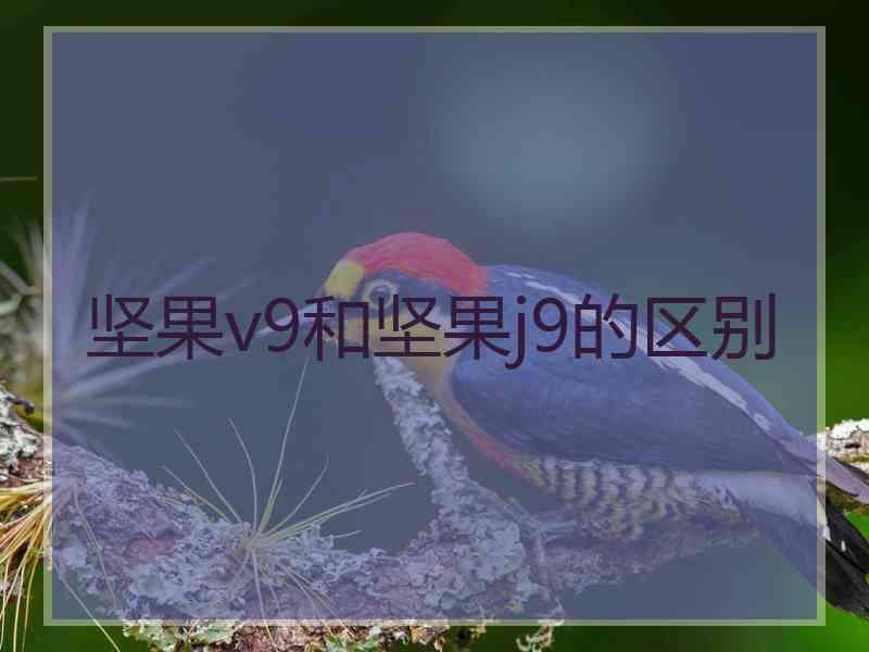 坚果v9和坚果j9的区别