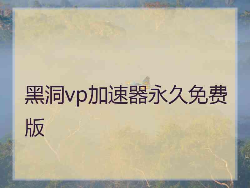 黑洞vp加速器永久免费版