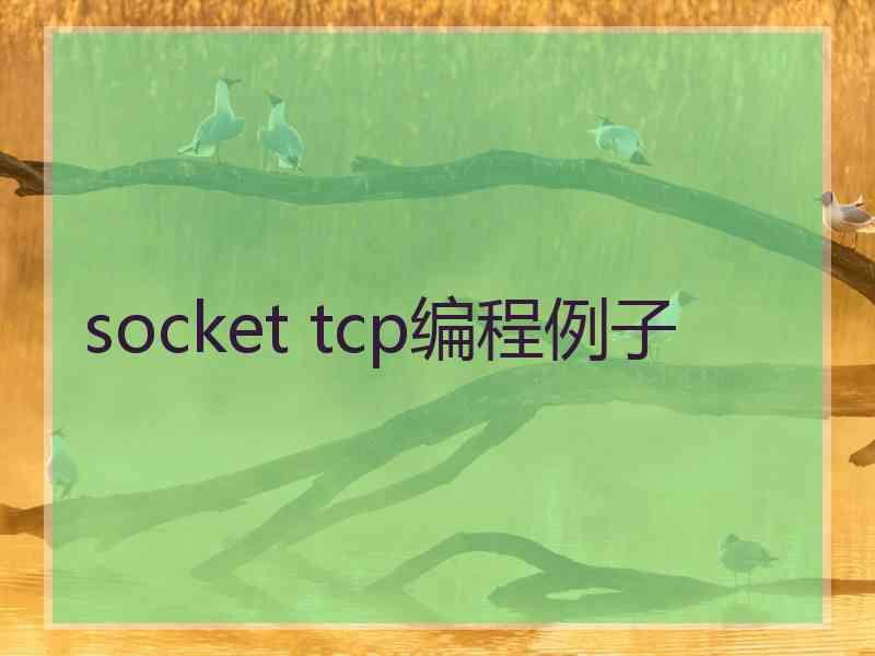 socket tcp编程例子