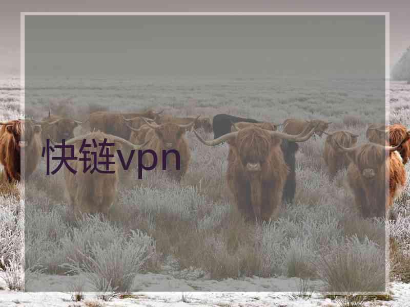 快链vpn