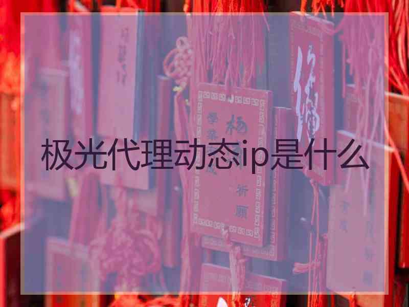 极光代理动态ip是什么