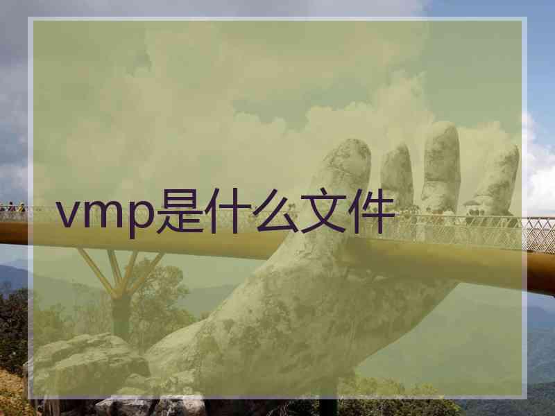 vmp是什么文件