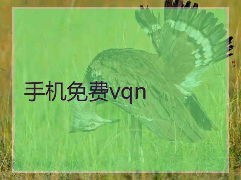 手机免费vqn