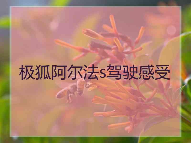 极狐阿尔法s驾驶感受