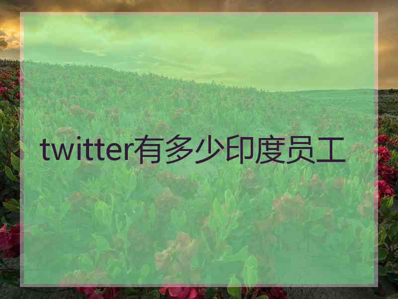 twitter有多少印度员工