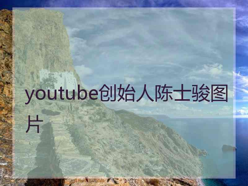 youtube创始人陈士骏图片