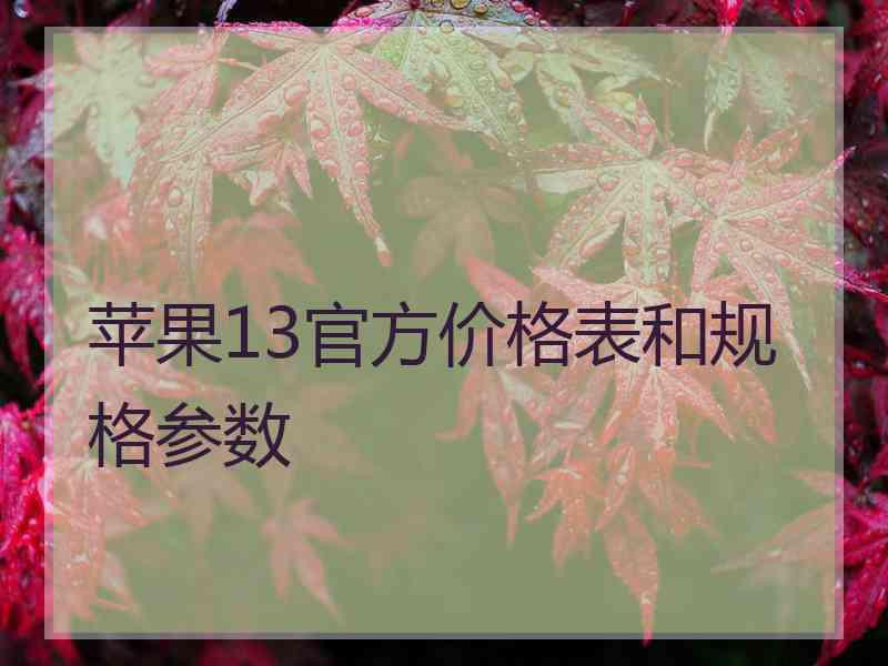 苹果13官方价格表和规格参数