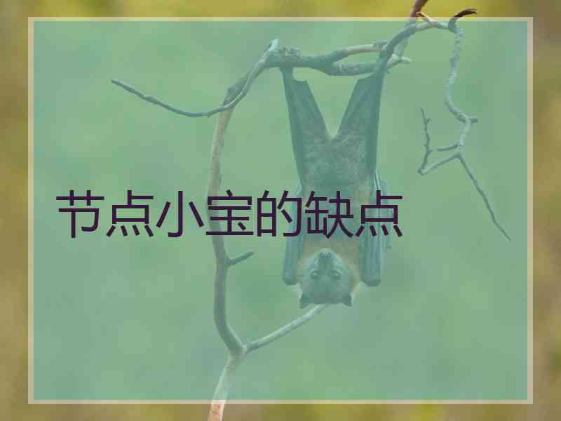 节点小宝的缺点