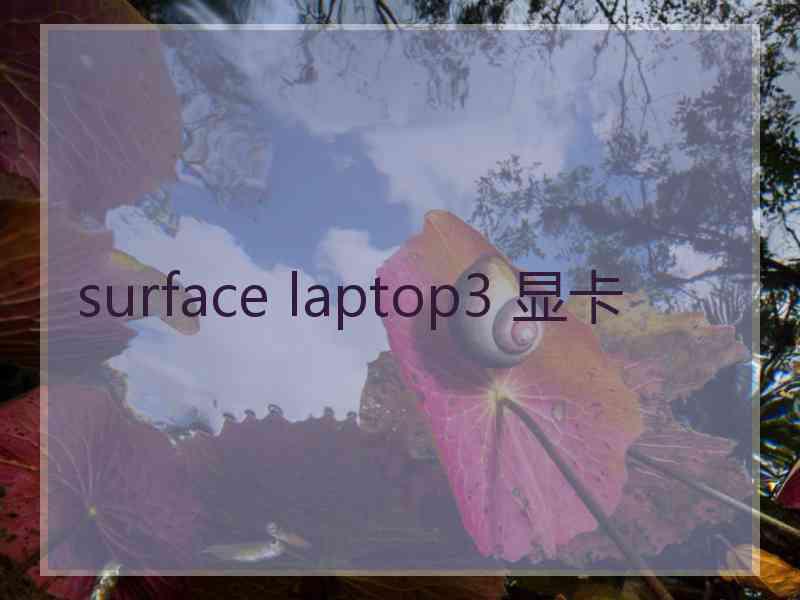 surface laptop3 显卡