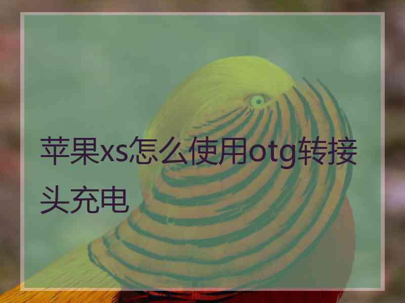 苹果xs怎么使用otg转接头充电