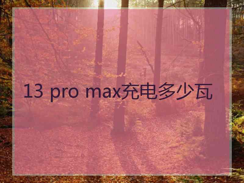 13 pro max充电多少瓦