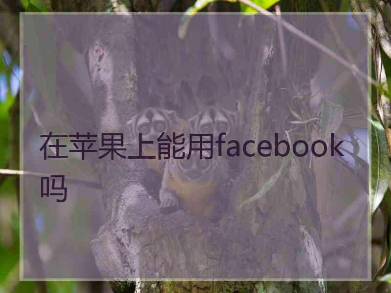 在苹果上能用facebook吗