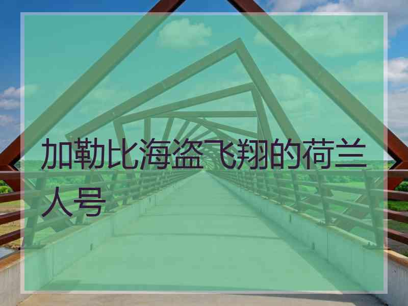 加勒比海盗飞翔的荷兰人号