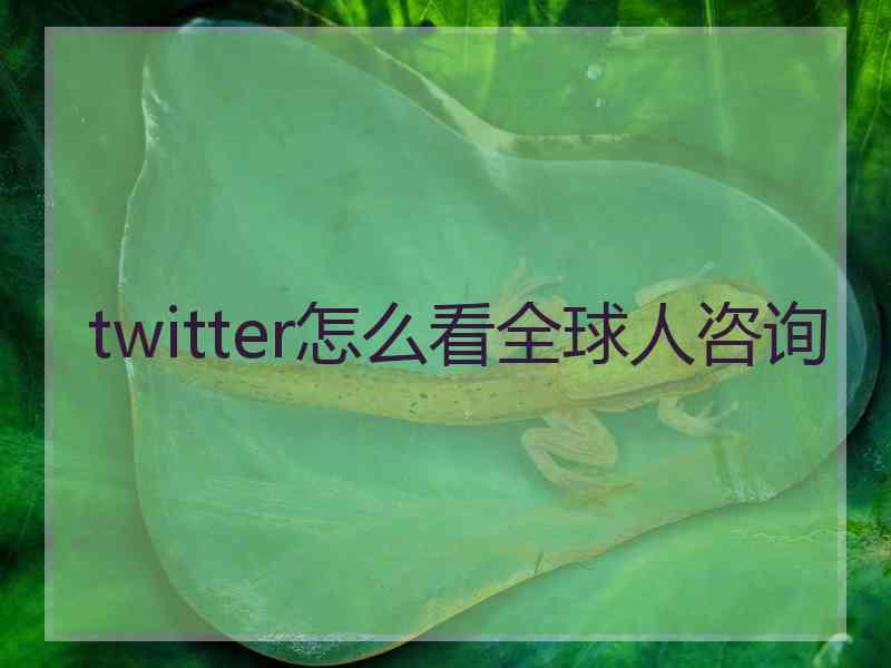 twitter怎么看全球人咨询