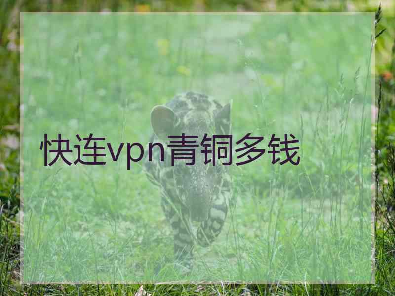 快连vpn青铜多钱