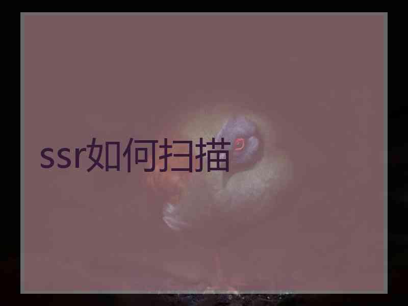 ssr如何扫描