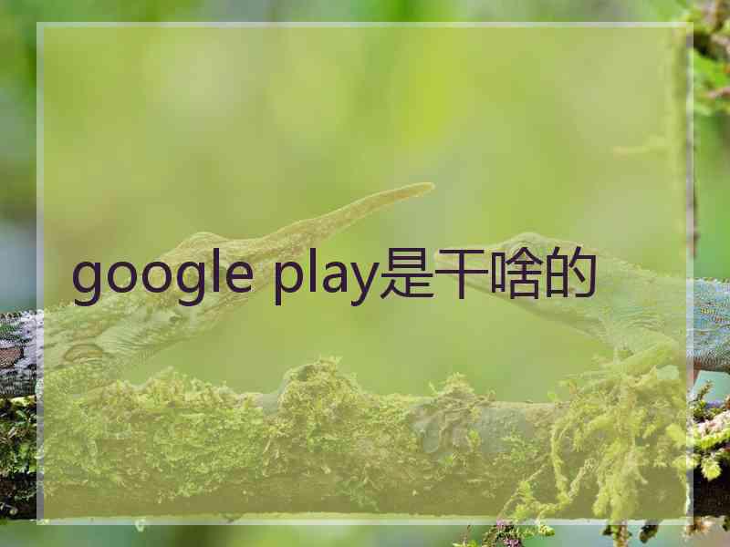 google play是干啥的