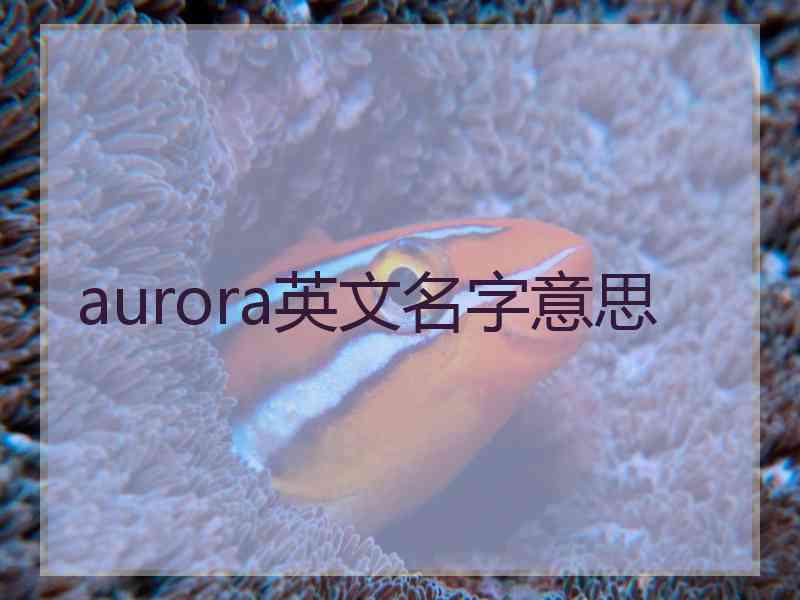 aurora英文名字意思