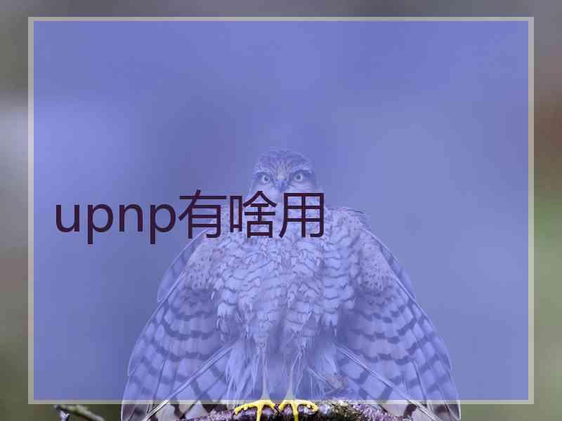 upnp有啥用