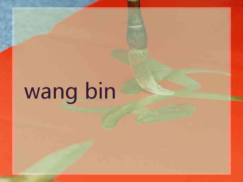 wang bin