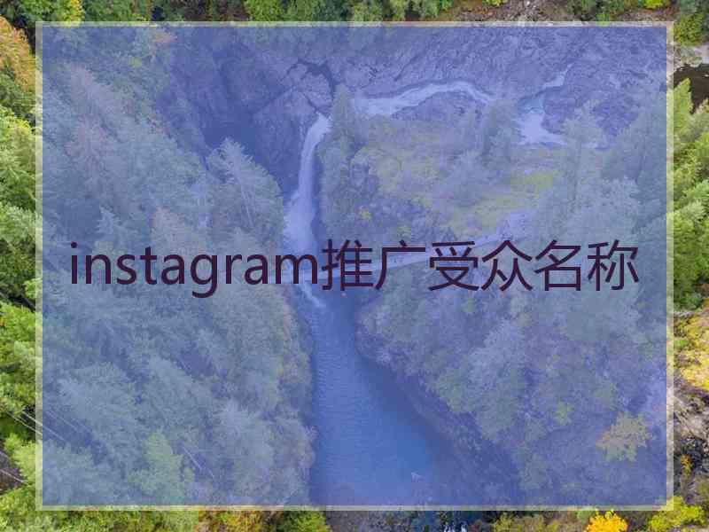 instagram推广受众名称