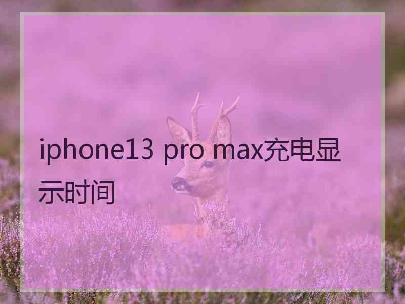 iphone13 pro max充电显示时间