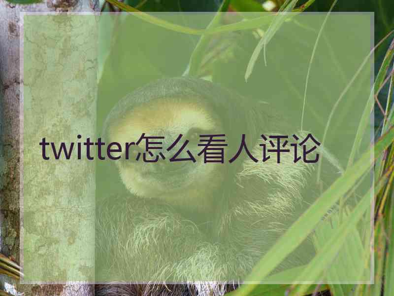 twitter怎么看人评论