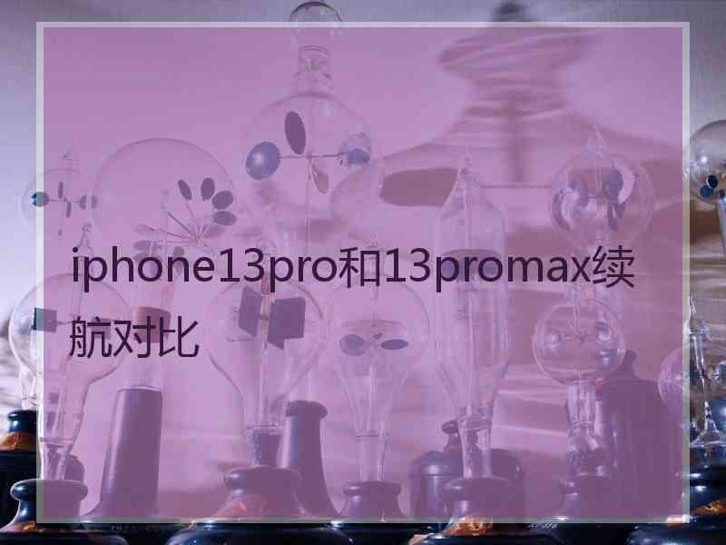 iphone13pro和13promax续航对比