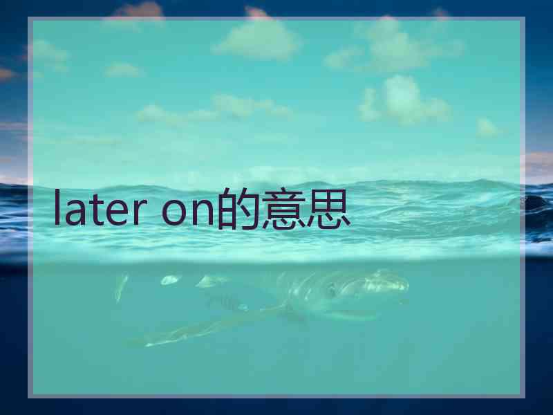 later on的意思