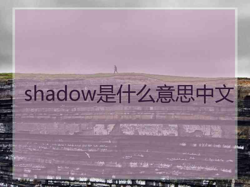 shadow是什么意思中文