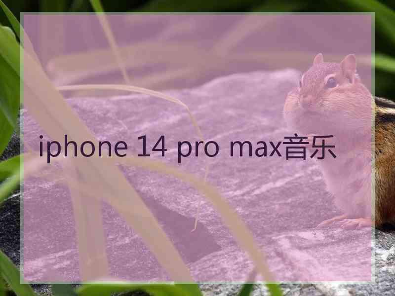 iphone 14 pro max音乐