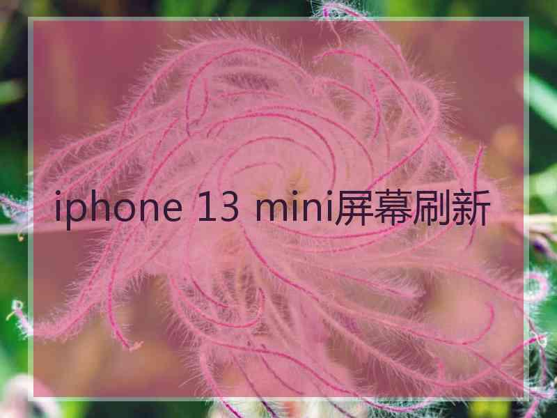 iphone 13 mini屏幕刷新