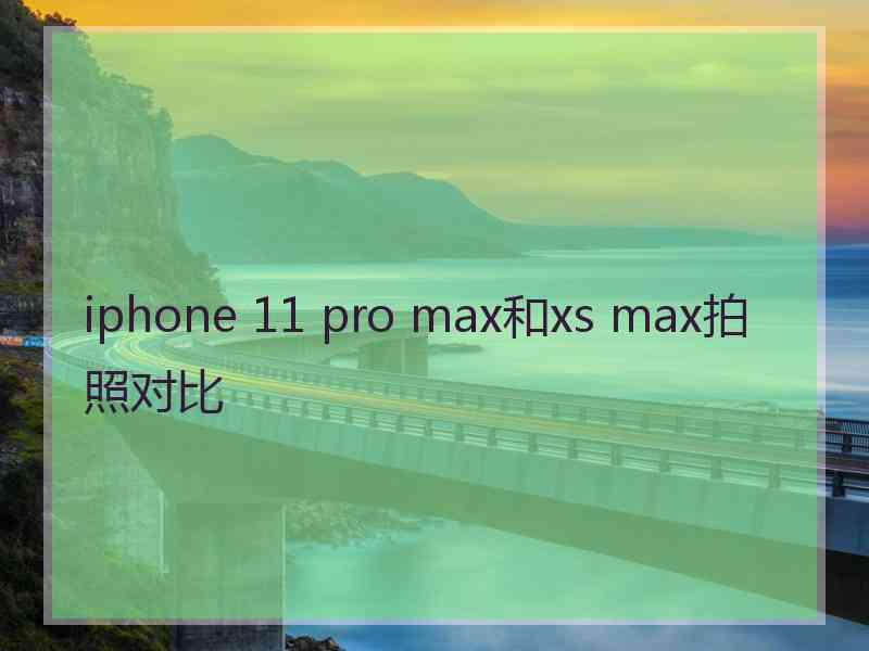 iphone 11 pro max和xs max拍照对比