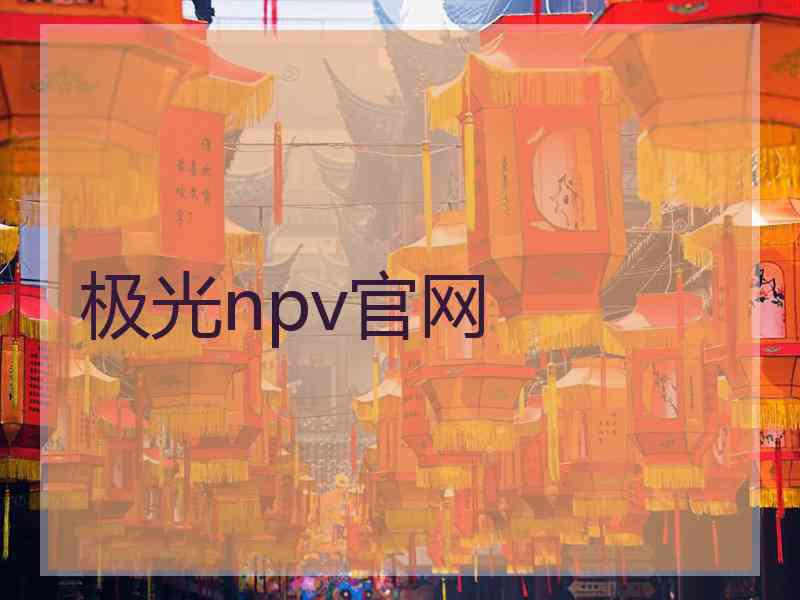 极光npv官网