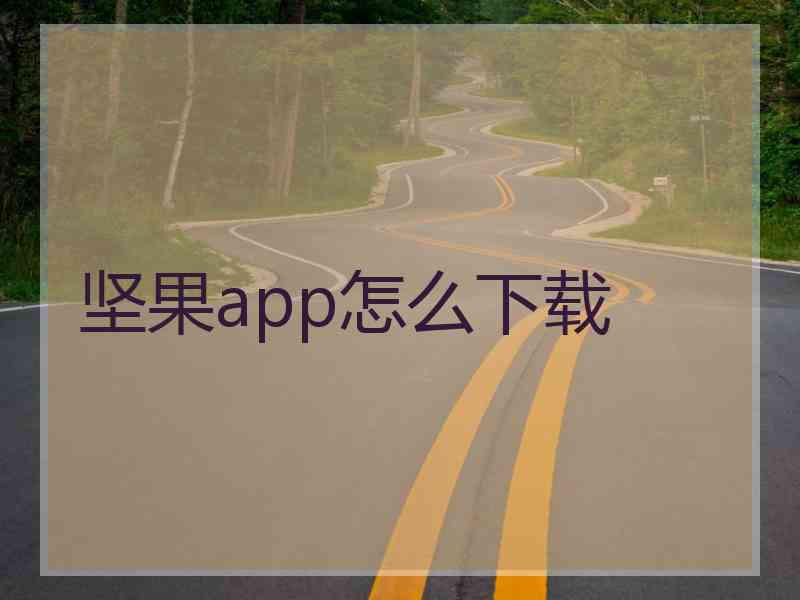 坚果app怎么下载