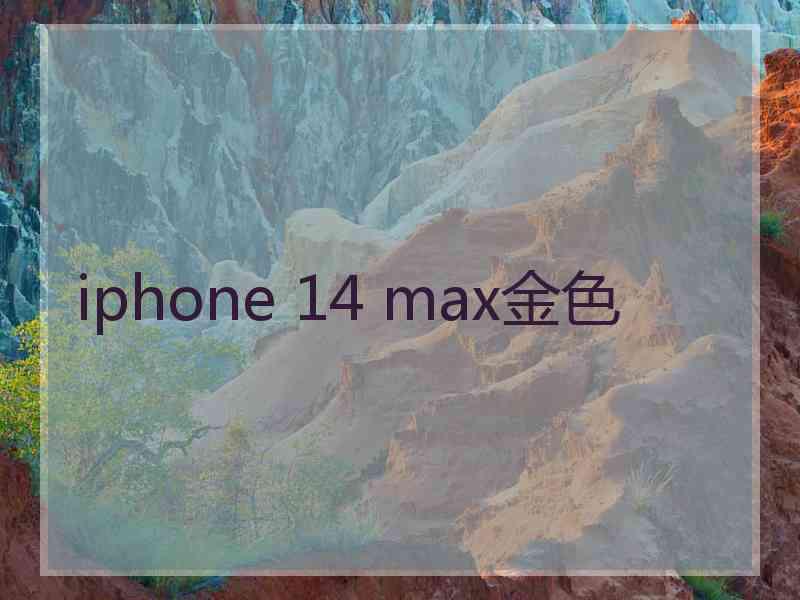 iphone 14 max金色