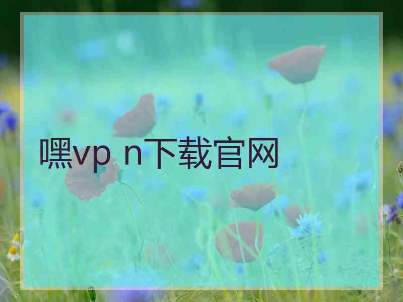 嘿vp n下载官网