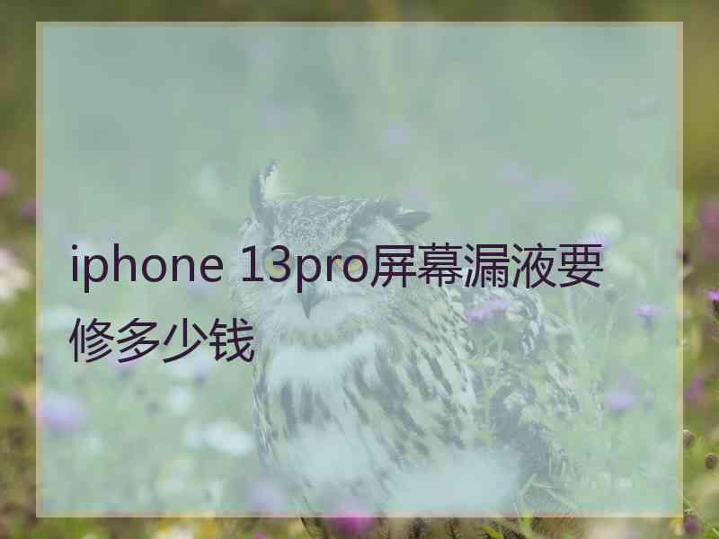 iphone 13pro屏幕漏液要修多少钱