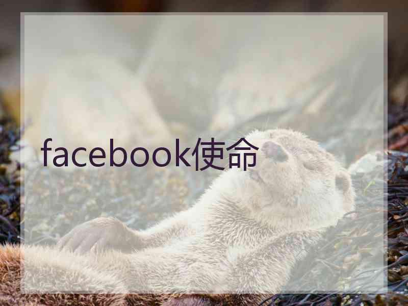 facebook使命