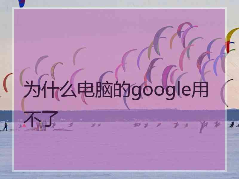 为什么电脑的google用不了