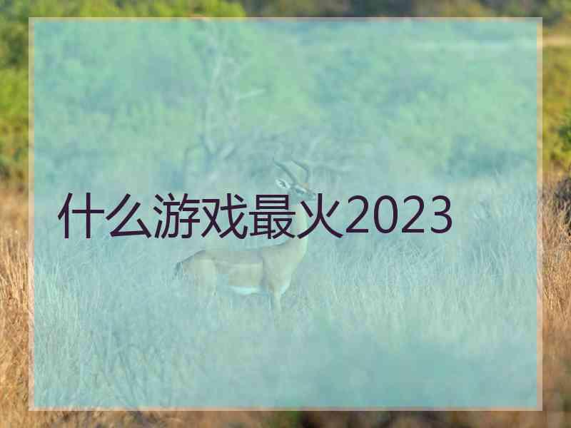 什么游戏最火2023