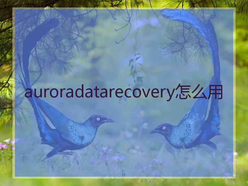 auroradatarecovery怎么用