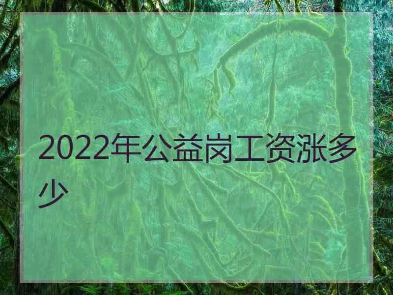 2022年公益岗工资涨多少