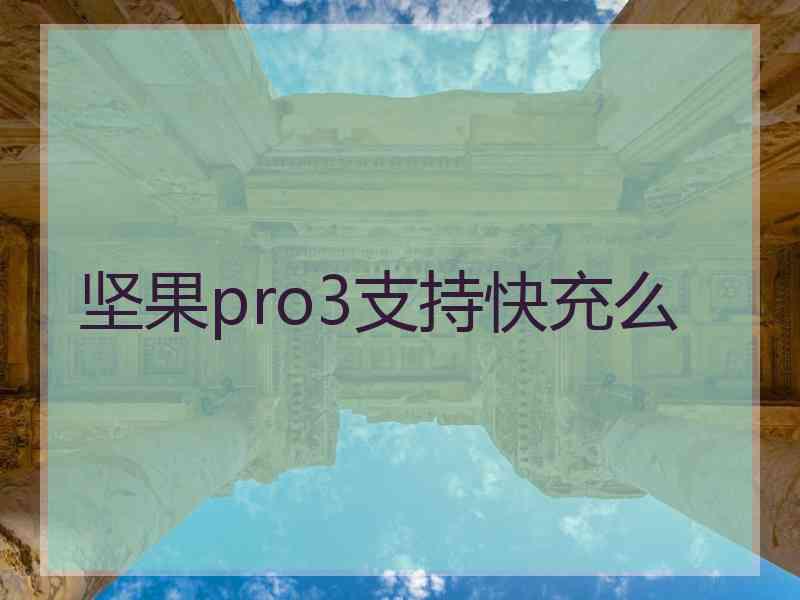 坚果pro3支持快充么