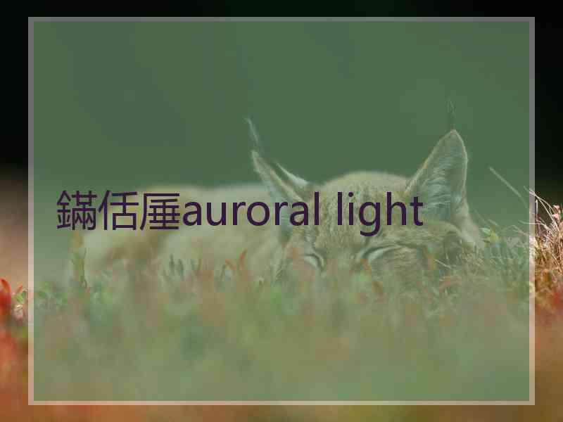 鏋佸厜auroral light