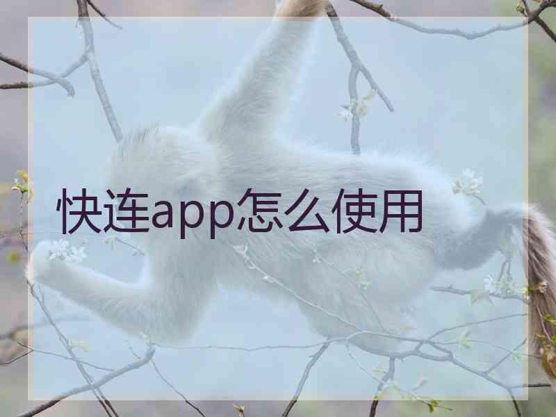 快连app怎么使用