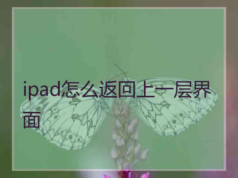 ipad怎么返回上一层界面